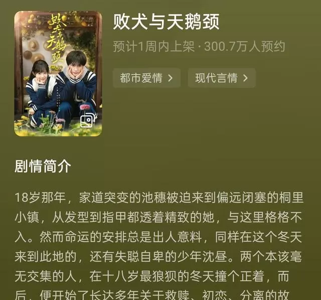 张翅至春禾四度合作短剧《败犬与天鹅颈》定档5月3日 情报图