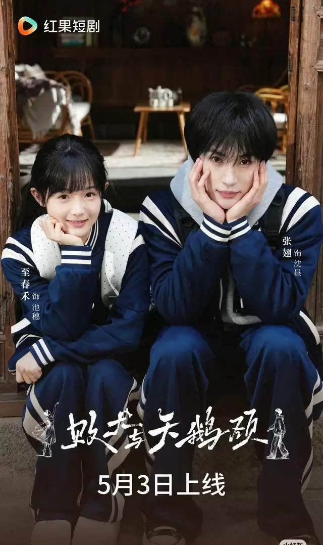 张翅至春禾四度合作短剧《败犬与天鹅颈》定档5月3日 相关图片