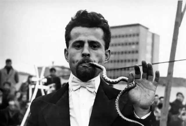 南斯拉夫黑浪运动五部禁映电影首次系统性解封 相关图片