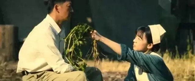 《八千里路云和月》大结局张云魁娶小月 丁玉娇坦然放手引观众意难平 相关图片