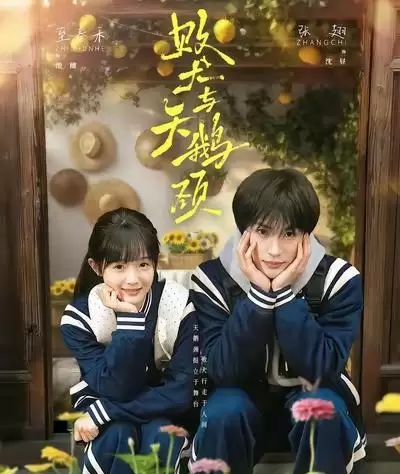 张翅至春禾四度合作短剧《败犬与天鹅颈》定档5月3日 细节速览