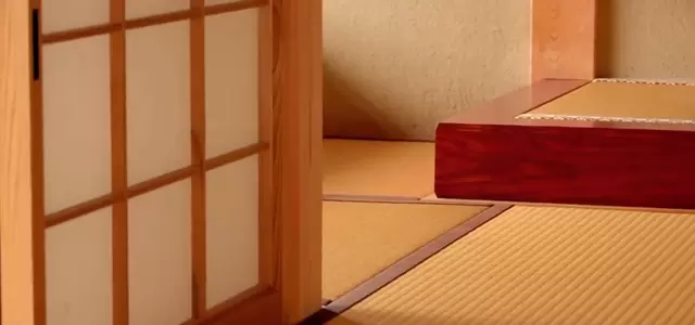 李小冉《孤岛植物园》陈安角色重获观众聚焦 细节速览
